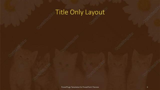 Title Only presentation slide layout