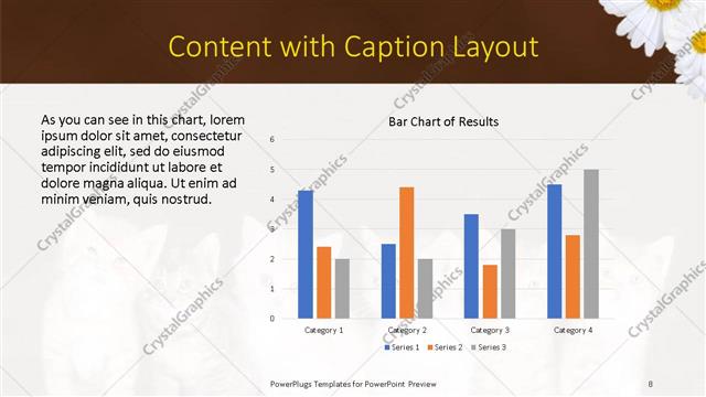 Content with Caption presentation slide layout