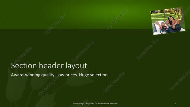 Section Header presentation slide layout