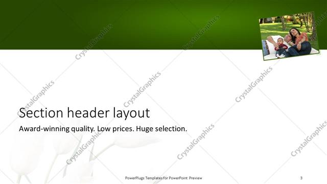 Section Header presentation slide layout