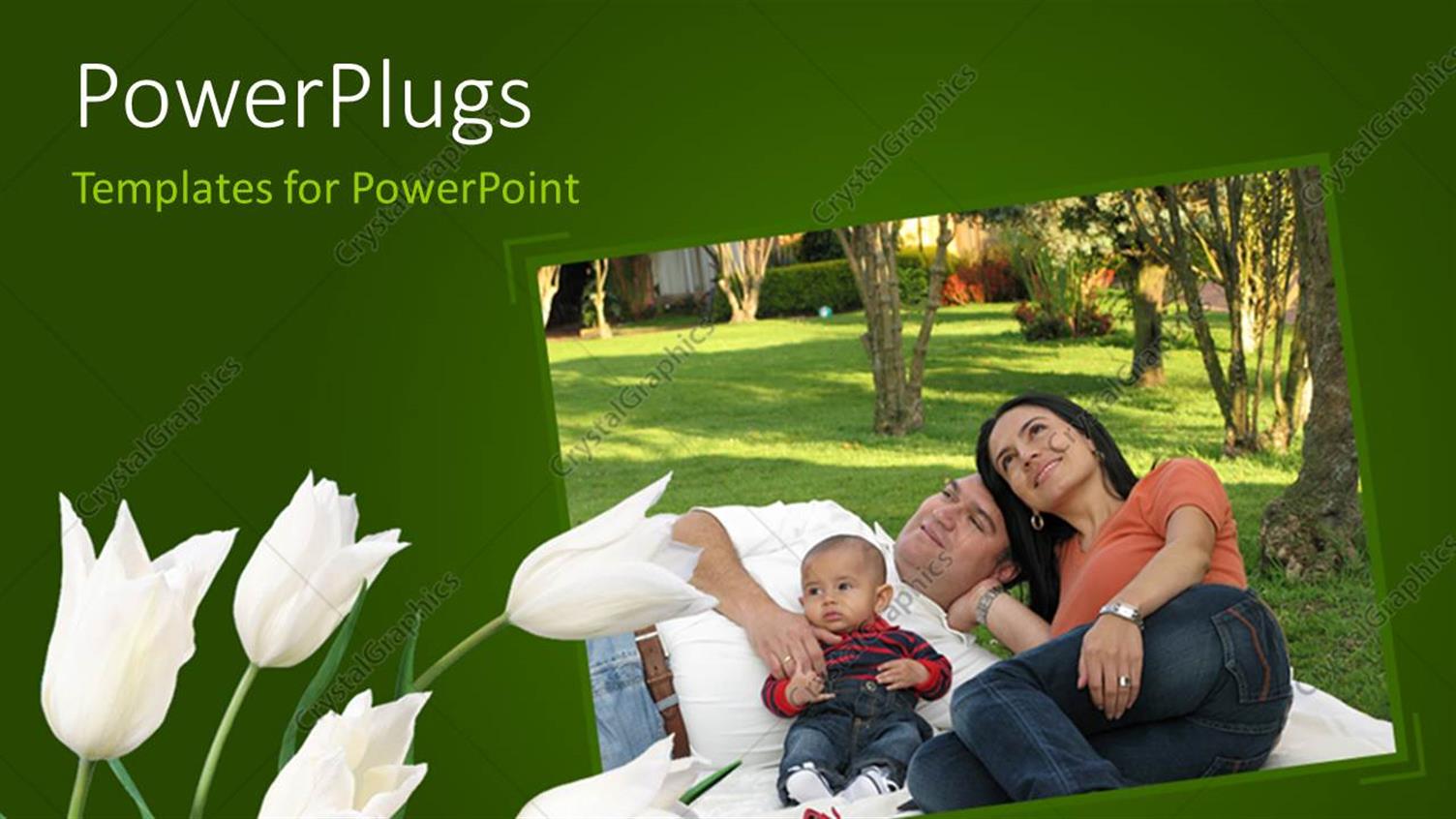 Premium Template for PowerPoint & Google Slides 