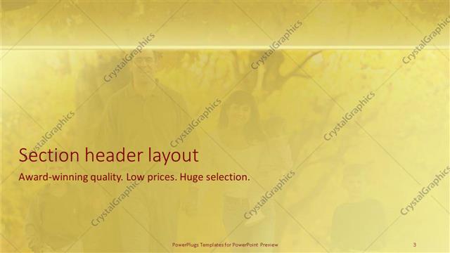 Section Header presentation slide layout