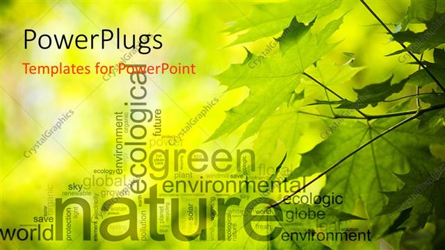  Presentation with leave - Features of ecology and a fading maple leave background