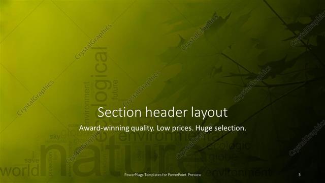 Section Header presentation slide layout