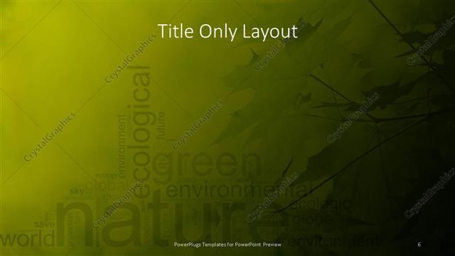 Title Only presentation slide layout