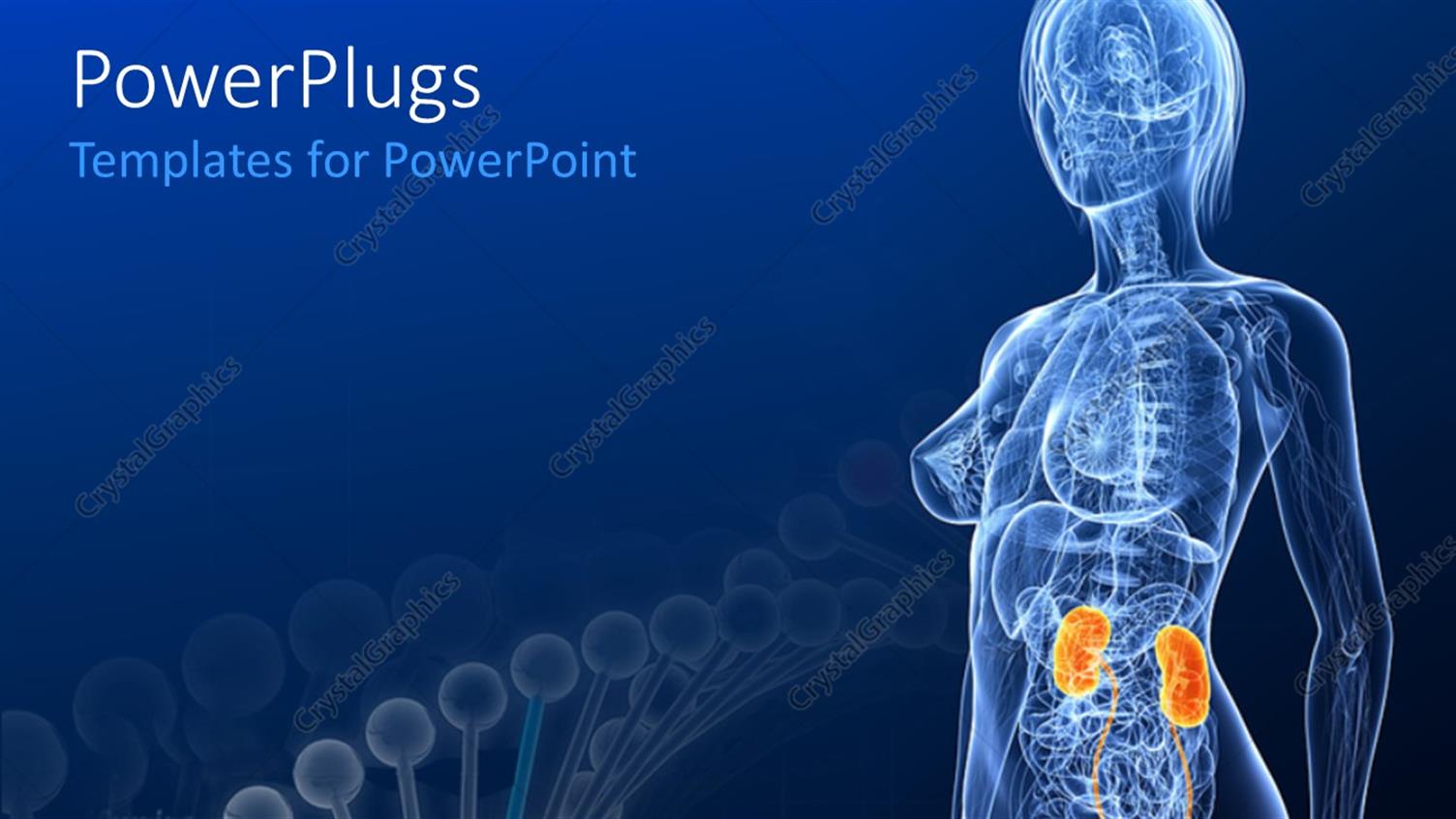 Premium Template for PowerPoint & Google Slides 