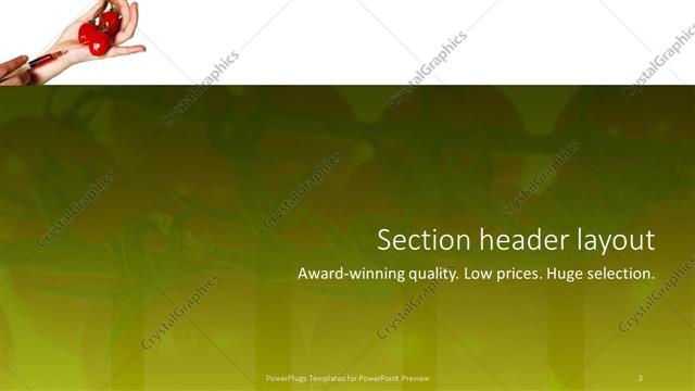 Section Header presentation slide layout
