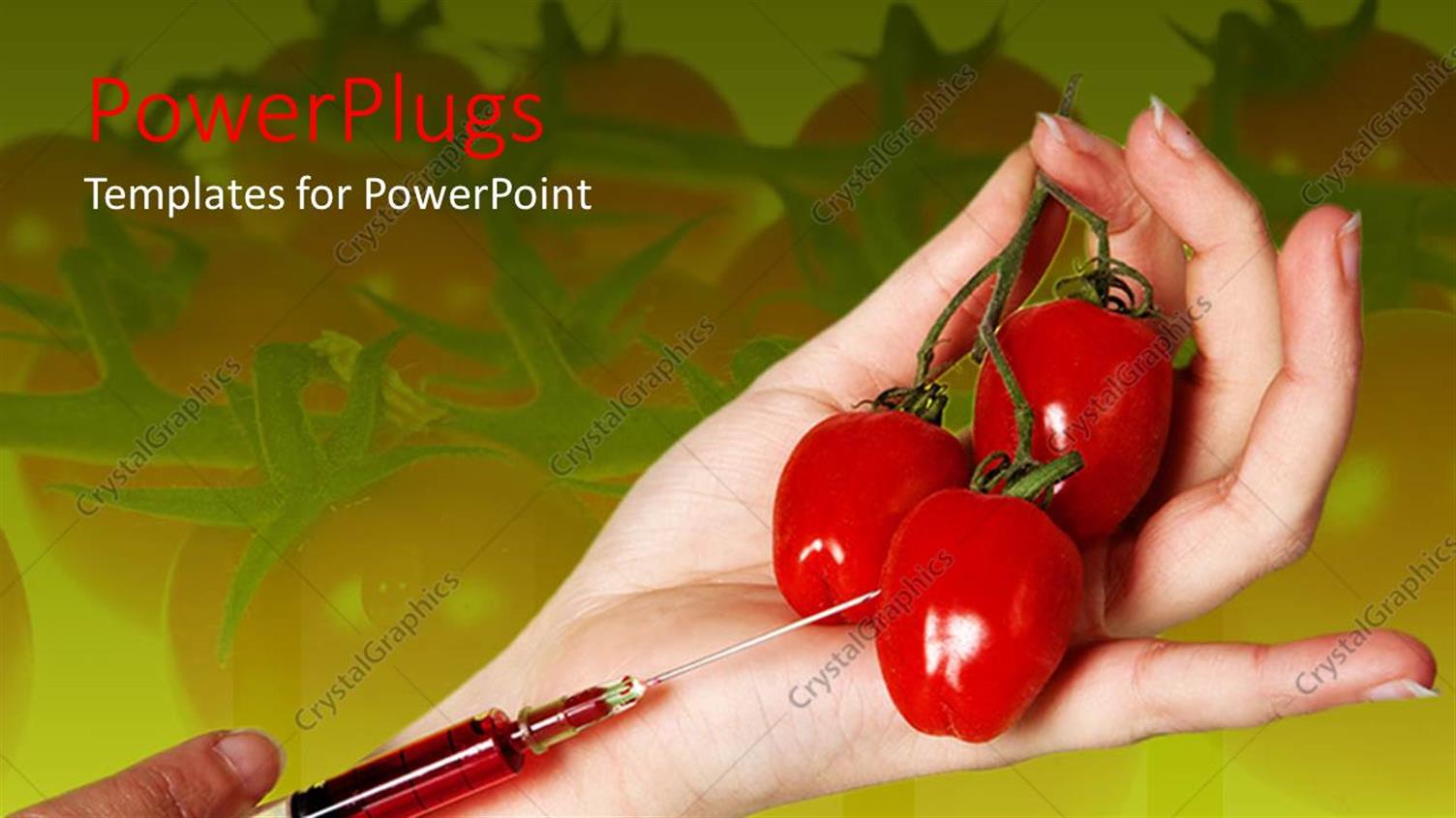 Premium Template for PowerPoint & Google Slides 