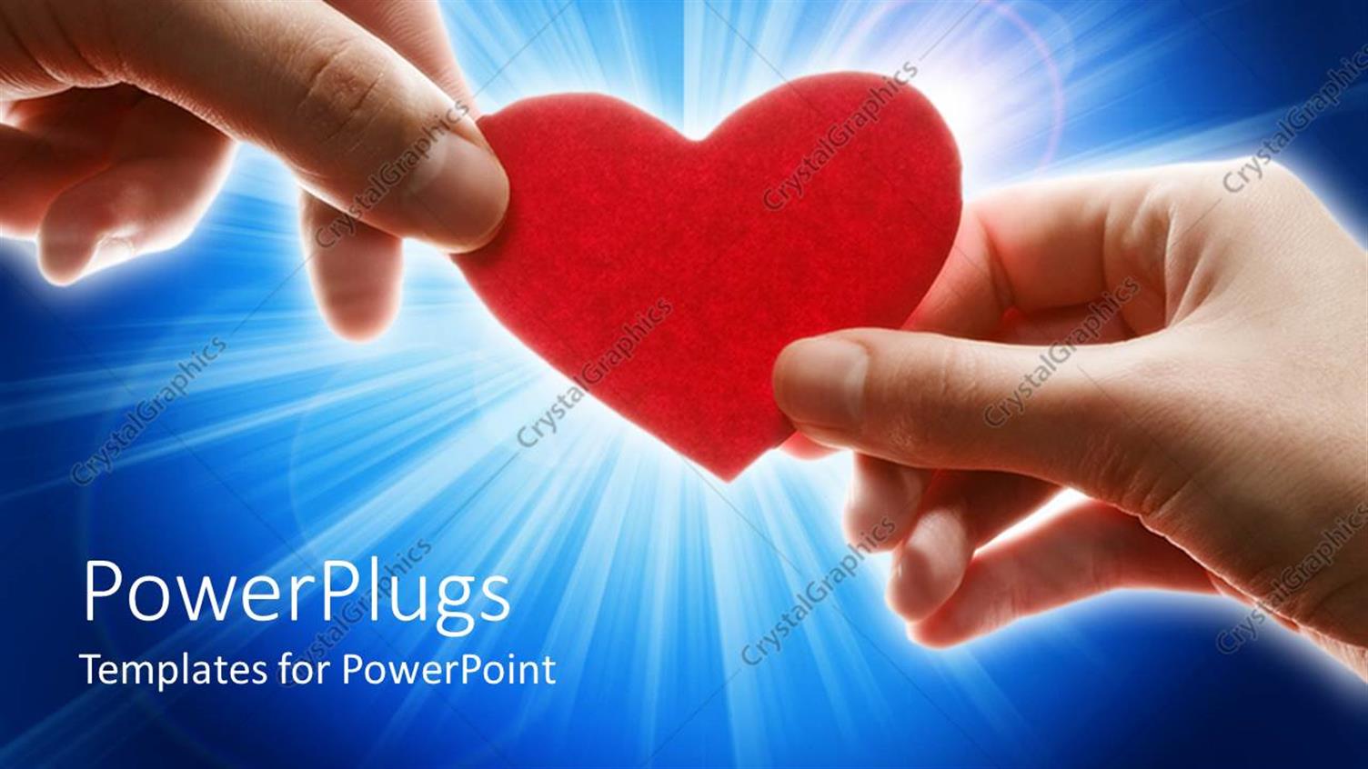 Premium Template for PowerPoint & Google Slides 