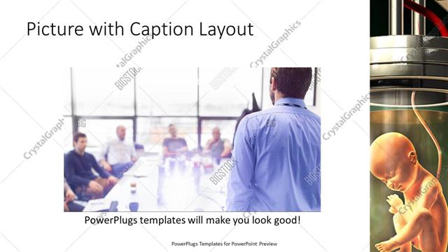 Picture with Caption presentation slide layout