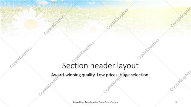 Section Header presentation slide layout