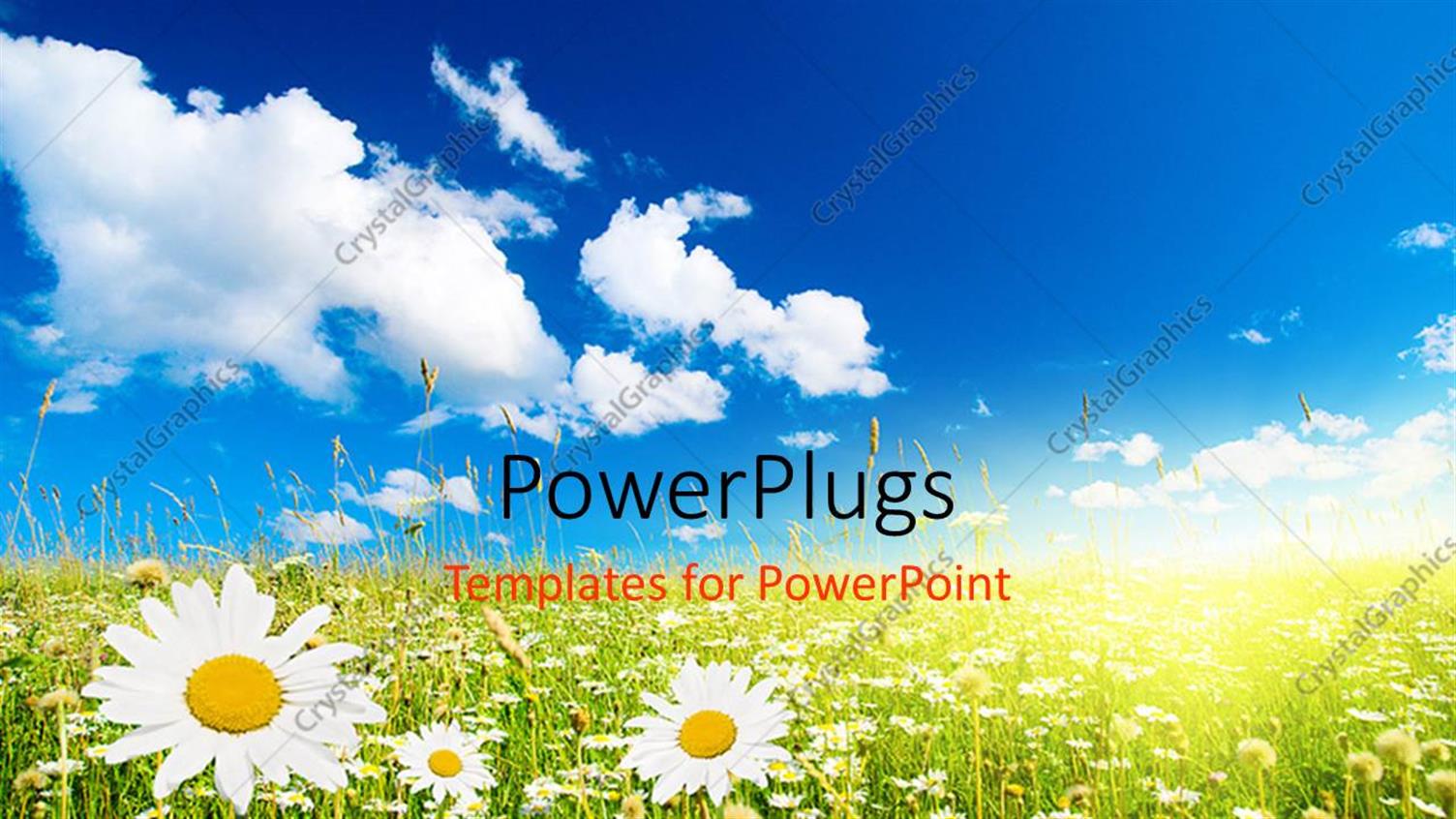 Premium Template for PowerPoint & Google Slides 