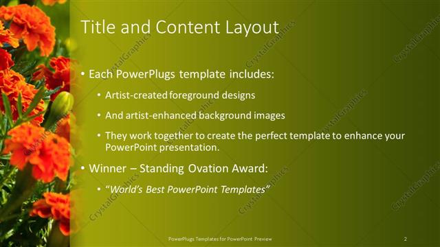 Title and Content presentation slide layout