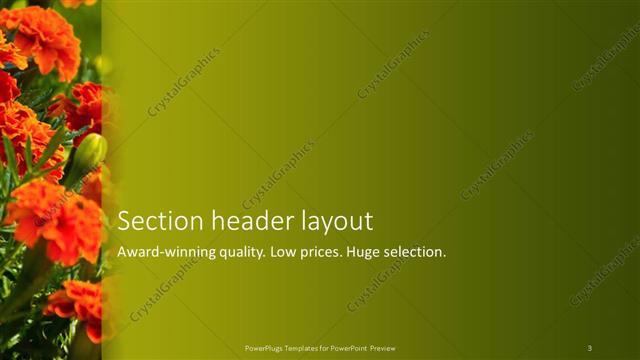 Section Header presentation slide layout