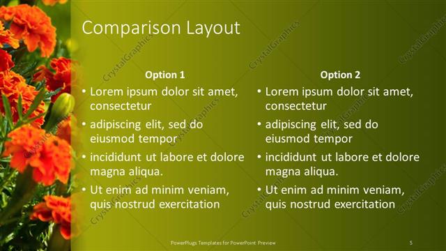 Comparison presentation slide layout