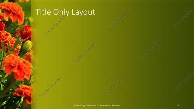 Title Only presentation slide layout