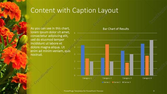Content with Caption presentation slide layout