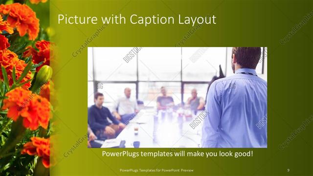 Picture with Caption presentation slide layout