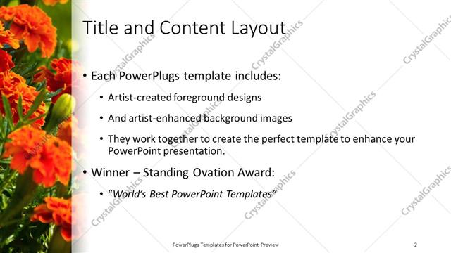 Title and Content presentation slide layout