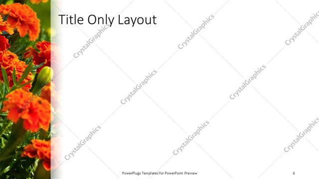 Title Only presentation slide layout