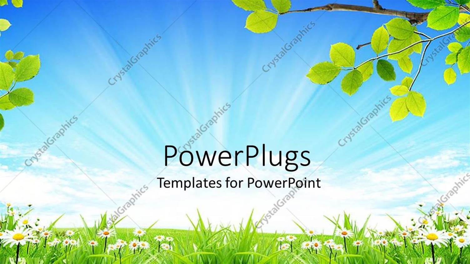 Premium Template for PowerPoint & Google Slides 