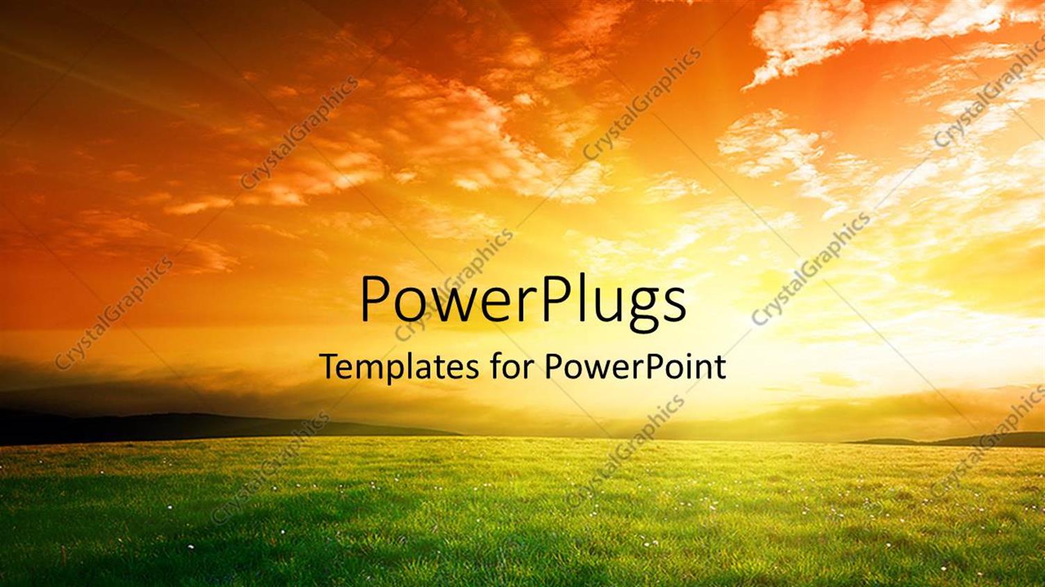 Premium Template for PowerPoint & Google Slides 