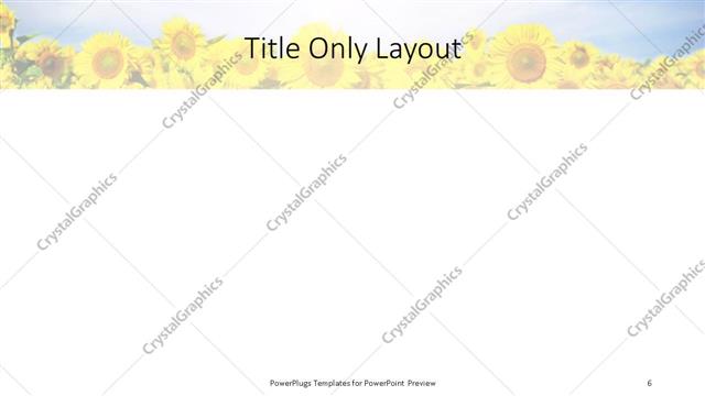 Title Only presentation slide layout