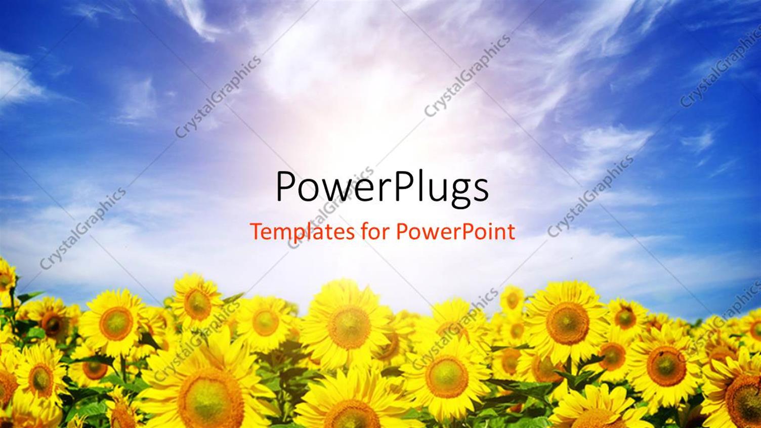 Premium Template for PowerPoint & Google Slides 