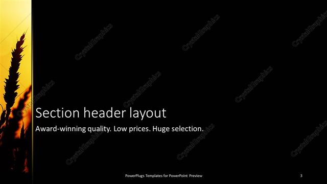 Section Header presentation slide layout