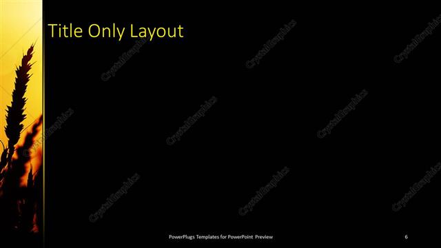 Title Only presentation slide layout