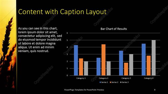 Content with Caption presentation slide layout