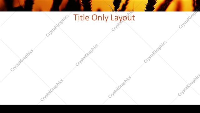 Title Only presentation slide layout