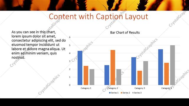 Content with Caption presentation slide layout