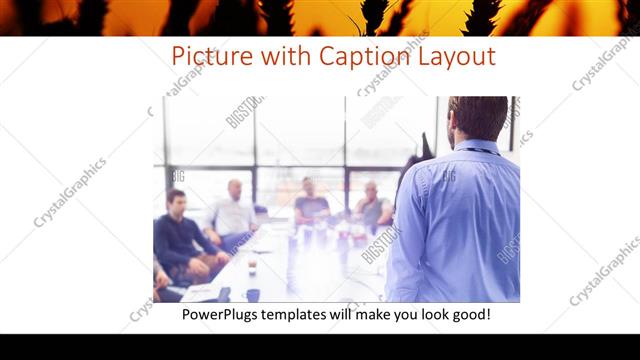 Picture with Caption presentation slide layout
