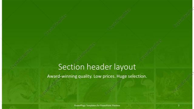 Section Header presentation slide layout