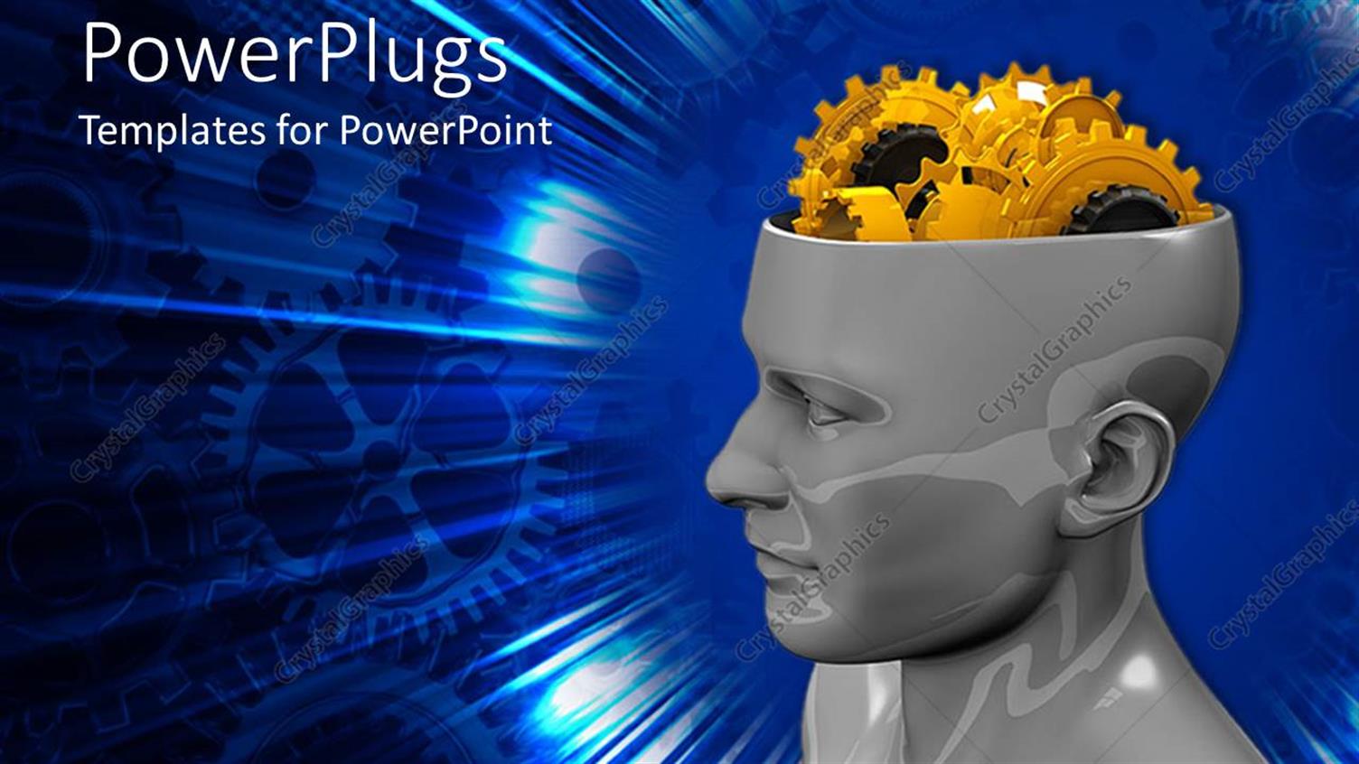 Premium Template for PowerPoint & Google Slides 