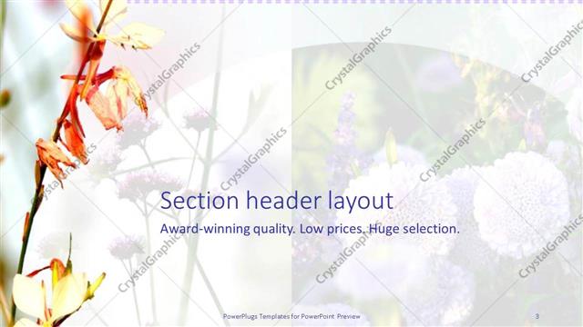 Section Header presentation slide layout
