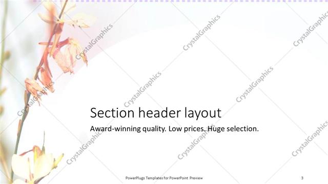 Section Header presentation slide layout