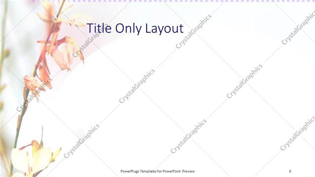 Title Only presentation slide layout