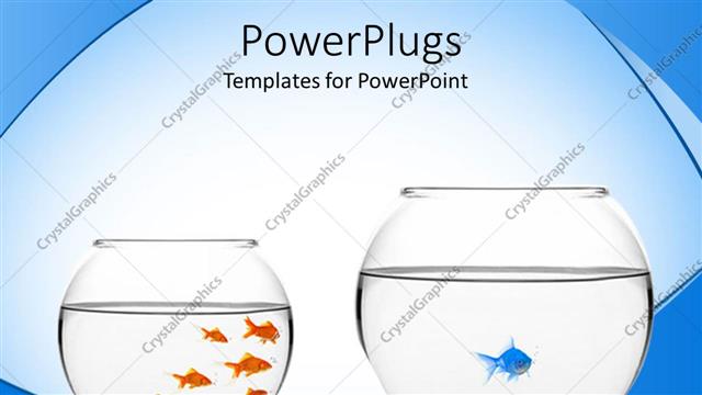  Presentation with racism - Fish bowl with one blue fish and bowl with seven golden fish