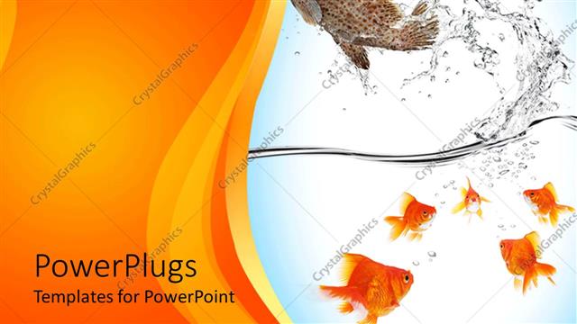  Presentation with power unity - Fish jumping out of water to escape from five goldfish in water