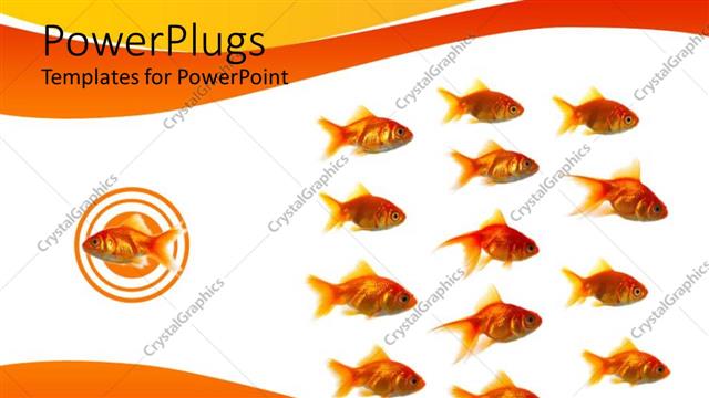  Presentation with swimming - Fish swimming in opposite direction of group of fishes