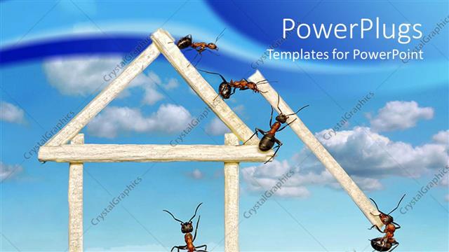  Presentation with ants - Five ants working in team to build house of wooden matches on grass and blue sky in the background