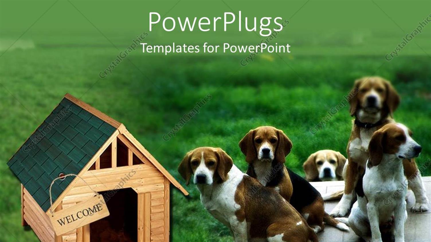 Premium Template for PowerPoint & Google Slides 