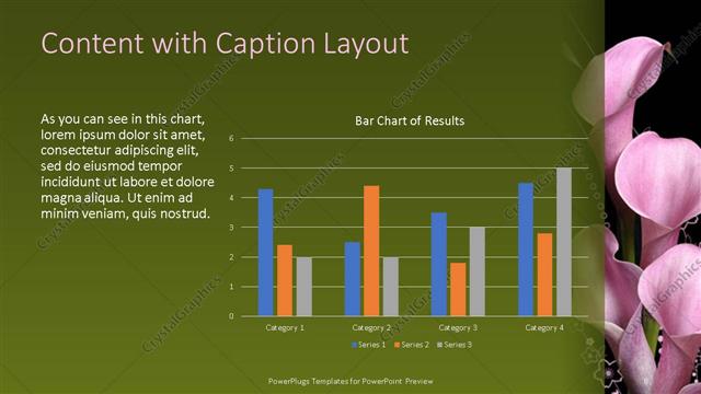 Content with Caption presentation slide layout