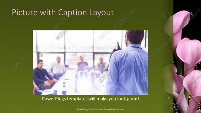 Picture with Caption presentation slide layout