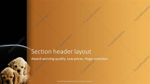 Section Header presentation slide layout