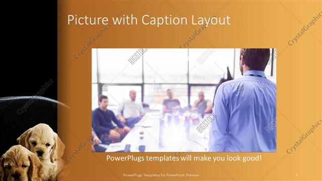 Picture with Caption presentation slide layout