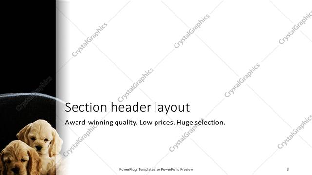 Section Header presentation slide layout