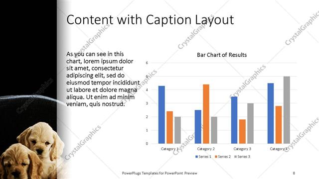 Content with Caption presentation slide layout